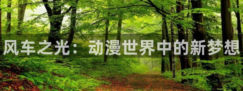 omofun下载动漫：风车之光：动漫世界中的新梦想