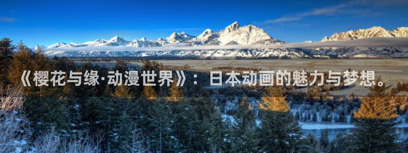 omofuns：《樱花与缘·动漫世界》：日本动画的魅力与梦想。