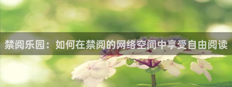 omofun免签：禁阅乐园：如何在禁阅的网络空间中享受自由阅读