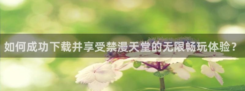 omofun中文官网：如何成功下载并享受禁漫天堂的无限畅玩体验？