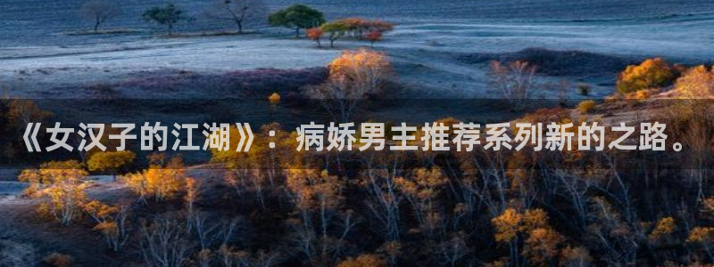 http://omofun：《女汉子的江湖》：病娇男主推荐系列新的之路。