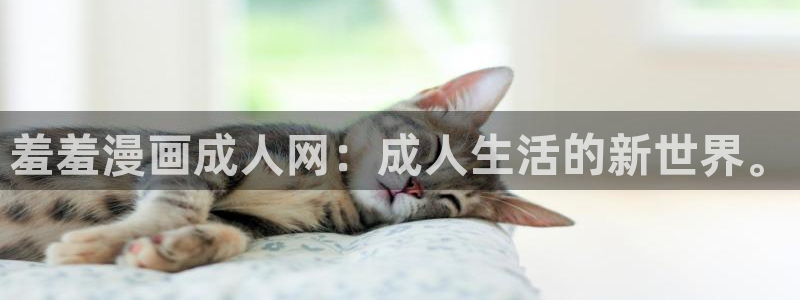 omofun动漫app下载最新版：羞羞漫画成人网：成人生活的新世界。