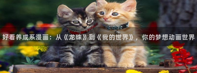 omofun下载无广告版：好看养成系漫画：从《龙珠》到《我的世界》，你的梦想动画世界