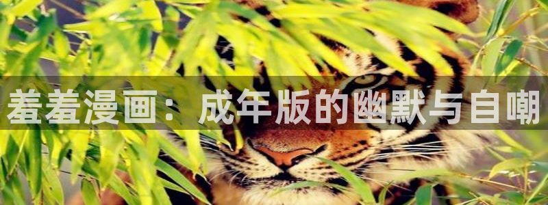 omofun网页版入口处：羞羞漫画：成年版的幽默与自嘲