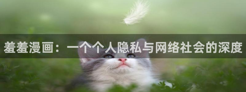 omofun动漫官网在线观看：羞羞漫画：一个个人隐私与网络社会的深度