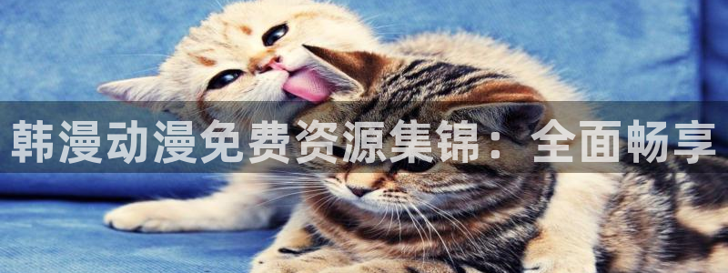 omofun动漫官方：韩漫动漫免费资源集锦：全面畅享