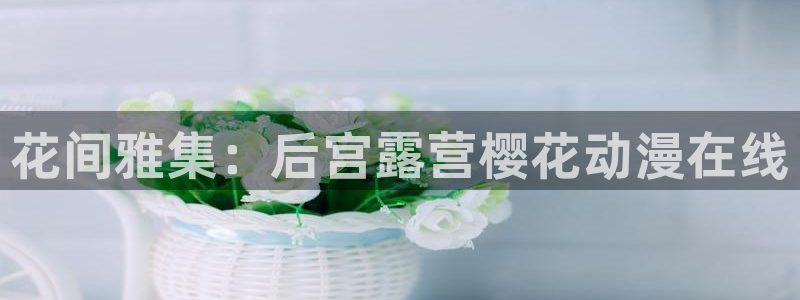 age动漫入口苹果：花间雅集：后宫露营樱花动漫在线