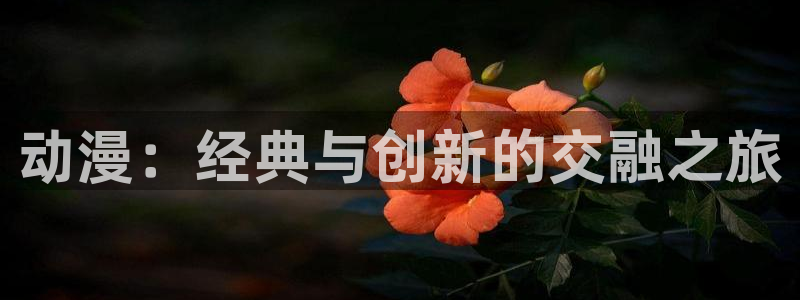 omofun是正经软件吗：动漫：经典与创新的交融之旅