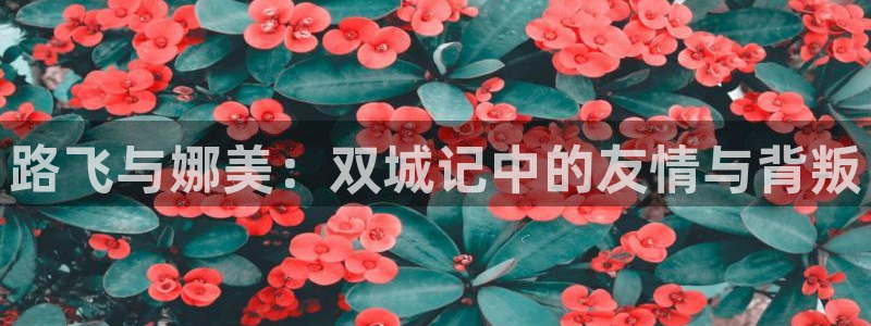 omofun 翻译：路飞与娜美：双城记中的友情与背叛
