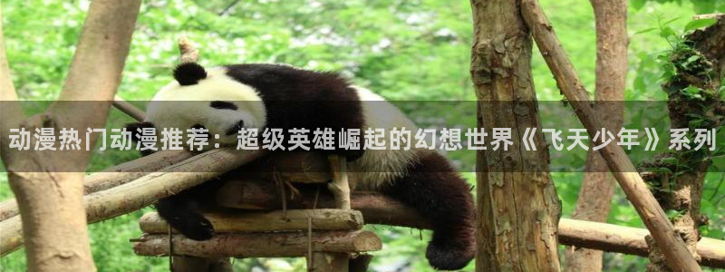 omofun苹果自签：动漫热门动漫推荐：超级英雄崛起的幻想世界《飞天少年》系列